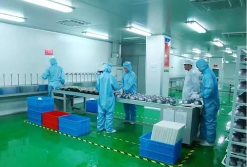 食品厂无尘车间设计安装报价公司